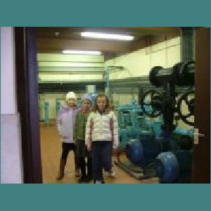 Water plant 012.jpg